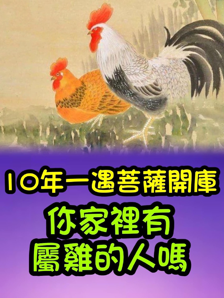 今晚菩薩開庫！屬雞人10年一遇大好運，快來接