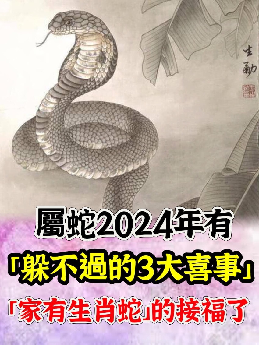 恭喜！屬蛇2024年有「躲不過的3大喜事」天降橫財擋不住「家有生肖蛇」的接福了